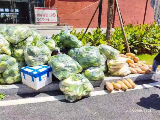 力擎抗疫责任重担 众志成城保稳保供(2)(1)336.png