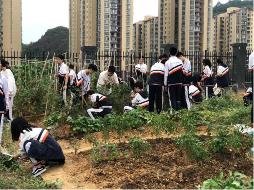 校园防控， “严”外有“情”(3)909.png