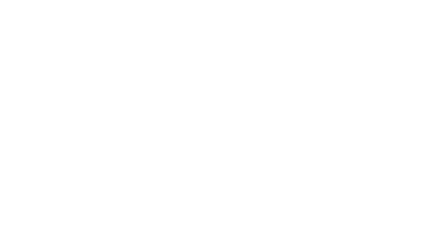 hongqipiao.gif